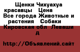 Щенки Чихуахуа красавцы › Цена ­ 9 000 - Все города Животные и растения » Собаки   . Кировская обл.,Леваши д.